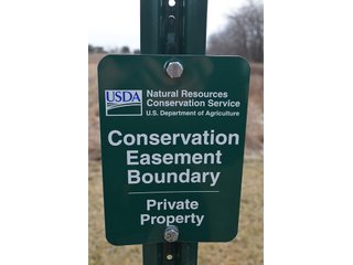 24 Grassland Acres - 20+/- Acres Wooded & 24+/- Acres Grassland, LAND AUCTION